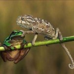 That's enough, Larry