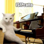 ISFP | ISFPcatto | image tagged in cat musician,isfp,musician,mbti,myers briggs,personality | made w/ Imgflip meme maker