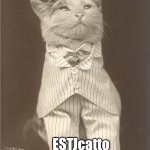 Fancy Cat | ESTJcatto | image tagged in fancy cat | made w/ Imgflip meme maker