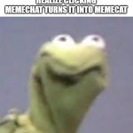 bruh | DOGPERSONS WHEN THEY REALIZE CLICKING MEMECHAT TURNS IT INTO MEMECAT | image tagged in kermit is not happy,meme,funny,memes | made w/ Imgflip meme maker