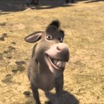 Donkey laughing