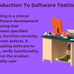 software testing