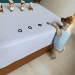 Dog Gone it | image tagged in gifs,dog gone it | made w/ Imgflip video-to-gif maker