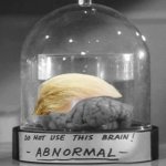 Abnormal brain | image tagged in abnormal brain | made w/ Imgflip meme maker