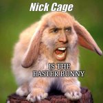 bunny nick cage faceswap | Nick Cage; IS THE EASTER BUNNY | image tagged in bunny nick cage faceswap | made w/ Imgflip meme maker