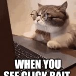 It's true | WHEN YOU SEE CLICK BAIT | image tagged in gifs,cats | made w/ Imgflip video-to-gif maker