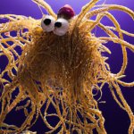 Flying Spaghetti Monster