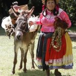 Los americanistas llegando a Estados Unidos