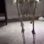 Skeleton Falling Over, Begging Frame