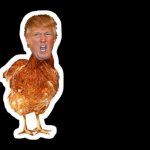 Chicken Trump