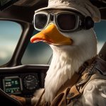 pilot duck