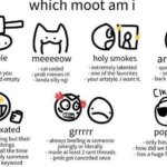 which moot am i