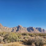 Mojave Desert