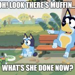 bluey | OH! LOOK THERE'S MUFFIN.... WHAT'S SHE DONE NOW? | image tagged in bluey | made w/ Imgflip meme maker