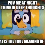 Bluey in bed | POV ME AT NIGHT THINKIN DEEP THOUGHTS; WHAT IS THE TRUE MEANING OF LIFE. | image tagged in bluey in bed | made w/ Imgflip meme maker