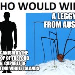 Homosapien versus Harvestman aka Daddy longlegs | A LEGGY BOI FROM AUSTRALIA; AN ORGANISM AT THE VERY TOP OF THE FOOD CHAIN, CAPABLE OF DISINTEGRATING WHOLE ISLANDS | image tagged in who would win,australia,human,opiliones | made w/ Imgflip meme maker