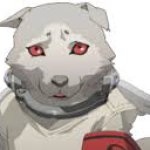 Koromaru sad