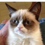 Real | 8 YR OLD ME: DAD, IM HUNGRY
DAD: HI HUNGRY, I'M DAD!
8 YR OLD ME: | image tagged in memes,grumpy cat,dad,dad joke,dad jokes,childhood | made w/ Imgflip meme maker