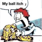 My ball itch ! meme