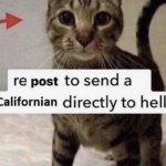 repost to send a Californian directly to Hell meme