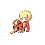 RockyTheFlareon temp template