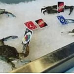 Crab Uno meme