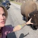 TikTok Karen tries to pet bison