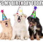 happy birthday to me lol | IT’S MY BIRTHDAY TODAY!! | image tagged in happy birthday puppies | made w/ Imgflip meme maker