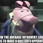 How the average introvert looks trying to make a doctor's appointment | HOW THE AVERAGE INTROVERT LOOKS TRYING TO MAKE A DOCTOR'S APPOINTMENT | image tagged in pig on phone | made w/ Imgflip meme maker