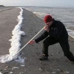 Hurricane Debby blows cocaine ashore in FL