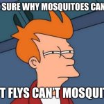 What is the meaning of life if a fly cant mosquito? | NOT SURE WHY MOSQUITOES CAN FLY; BUT FLYS CAN’T MOSQUITO | image tagged in memes,futurama fry | made w/ Imgflip meme maker