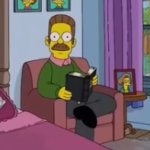 ned flanders stare meme