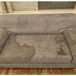 JD Couch