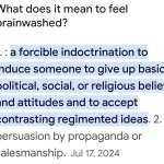 Brainwash definition