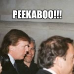 President Donald Trump | PEEKABOO!!! | image tagged in president donald trump | made w/ Imgflip meme maker