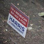 Harris fir prez