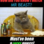 Gambling Sad Cat | HOW DID YOU KNOW I WATCH; MR BEAST? Must’ve been a             guess! LUCKY | image tagged in gambling sad cat | made w/ Imgflip meme maker