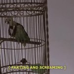 Scary Movie parrot GIF Template