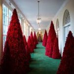 Melania's Christmas Trees