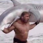 Trump shark