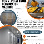 Commercial Fruit Dehydrator Machine