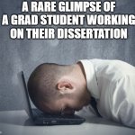 Grad School Life | A RARE GLIMPSE OF A GRAD STUDENT WORKING ON THEIR DISSERTATION | image tagged in writer frustration,phd,grad school,research | made w/ Imgflip meme maker