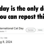 cat day