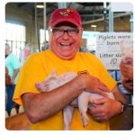 Tim Walz pig