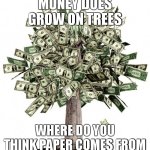 truth | MONEY DOES GROW ON TREES; WHERE DO YOU THINK PAPER COMES FROM | image tagged in money tree,funny,memes,funny memes | made w/ Imgflip meme maker