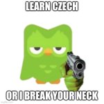 Duolingo | LEARN CZECH; OR I BREAK YOUR NECK | image tagged in duolingo,czechia,funny | made w/ Imgflip meme maker