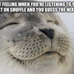 Satisfied Seal Meme | THAT FEELING WHEN YOU'RE LISTENING TO YOUR PLAYLIST ON SHUFFLE AND YOU GUESS THE NEXT SONG: | image tagged in memes,satisfied seal | made w/ Imgflip meme maker