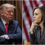 Trump and Harris