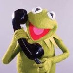 Kermit on phone