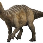 Iguanodon 3 (JWD Design)